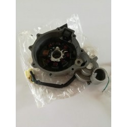 STATOR D ALLUMAGE POUR 125 FYM SNIPER