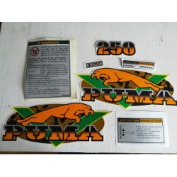 KIT / LOT AUTOCOLLANTS / STICKERS POUR QUAD LONCIN 250