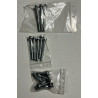 LOT DE VISSERIE POUR CARTER D'ALLUMAGE LONCIN 250