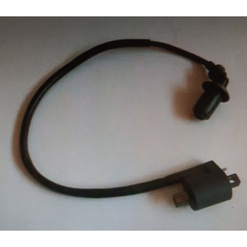BOBINE D'ALLUMAGE POUR QUAD 500 / 550